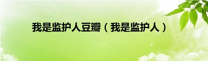 我是监护人豆瓣（我是监护人）