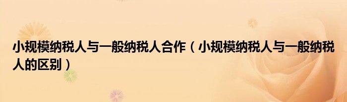 小规模纳税人与一般纳税人合作（小规模纳税人与一般纳税人的区别）