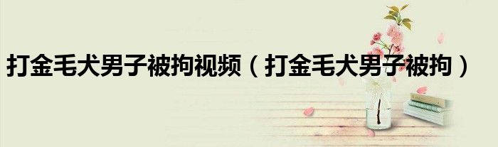 打金毛犬男子被拘视频（打金毛犬男子被拘）