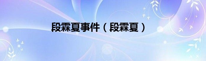 段霖夏事件（段霖夏）