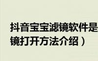 抖音宝宝滤镜软件是什么（snapchat儿童滤镜打开方法介绍）