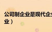 公司制企业是现代企业的典型形态（公司制企业）