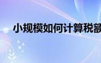 小规模如何计算税额（小规模如何报税）