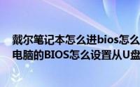 戴尔笔记本怎么进bios怎么设置u盘启动（戴尔Dell笔记本电脑的BIOS怎么设置从U盘启动）