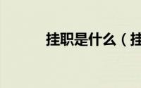 挂职是什么（挂职是什么意思）