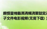 鐧惧害缃戠洏涓嬭浇鐢靛奖涓嬭浇（百度网盘在线播放BT种子文件电影视频(无需下载)）