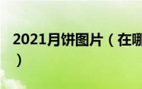 2021月饼图片（在哪查看2021月饼口味地图）