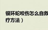 银环蛇咬伤怎么自救（银环蛇 金环蛇咬伤治疗方法）