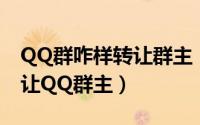 QQ群咋样转让群主（QQ群怎么转让 如何转让QQ群主）