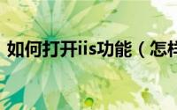 如何打开iis功能（怎样打开win7的IIS功能）