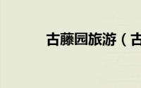 古藤园旅游（古藤园旅游攻略）