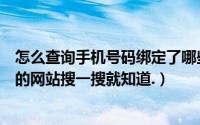 怎么查询手机号码绑定了哪些平台（如何知道手机号码绑定的网站搜一搜就知道.）