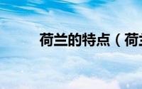 荷兰的特点（荷兰的特点是什么）