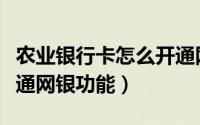 农业银行卡怎么开通网银（农业银行卡怎么开通网银功能）