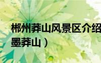 郴州莽山风景区介绍（湖南郴州莽山行[2]水墨莽山）