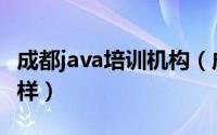 成都java培训机构（成都java培训的就业怎么样）