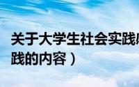 关于大学生社会实践感悟（关于大学生社会实践的内容）