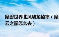 魔兽世界北风幼龙掉率（魔兽世界8.0北风幼龙在哪里刷 旋云之巅怎么去）