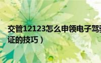 交管12123怎么申领电子驾驶证（交管12123办理电子驾驶证的技巧）