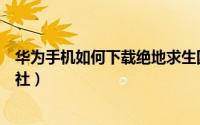 华为手机如何下载绝地求生国际服（华为手机如何下载财联社）