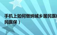手机上如何缴纳城乡居民医疗保险（手机上如何缴纳城乡居民医保）