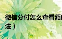 微信分付怎么查看额度（微信支付分的使用方法）