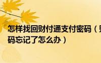 怎样找回财付通支付密码（财付通支付密码如何找回支付密码忘记了怎么办）