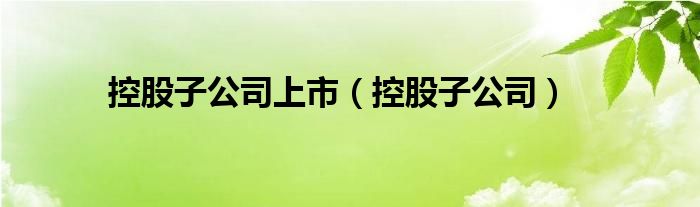 控股子公司上市（控股子公司）
