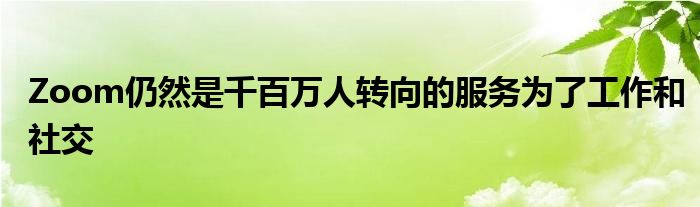 Zoom仍然是千百万人转向的服务为了工作和社交