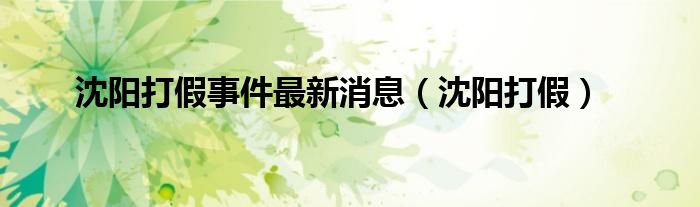 沈阳打假事件最新消息（沈阳打假）