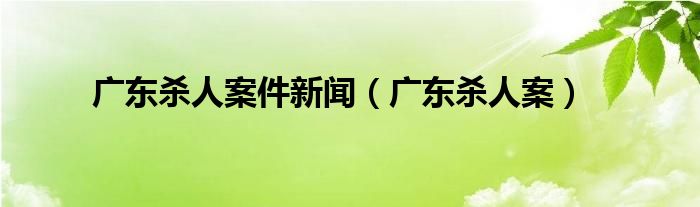 广东杀人案件新闻（广东杀人案）