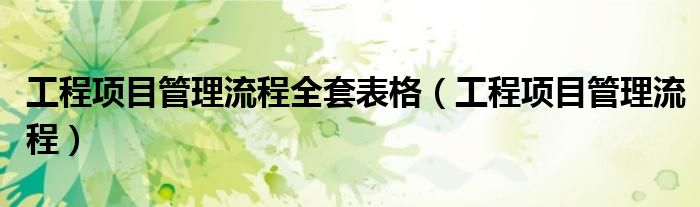 工程项目管理流程全套表格（工程项目管理流程）
