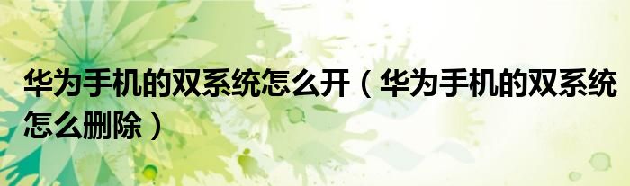 华为手机的双系统怎么开（华为手机的双系统怎么删除）