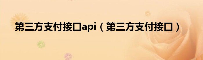 第三方支付接口api（第三方支付接口）