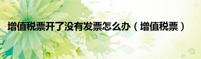 增值税票开了没有发票怎么办（增值税票）