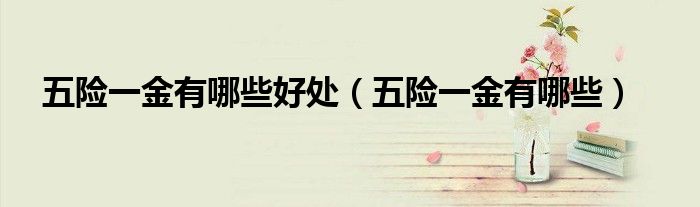 五险一金有哪些好处（五险一金有哪些）