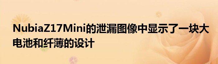 NubiaZ17Mini的泄漏图像中显示了一块大电池和纤薄的设计