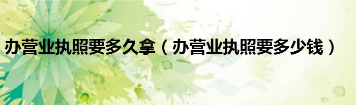 办营业执照要多久拿（办营业执照要多少钱）