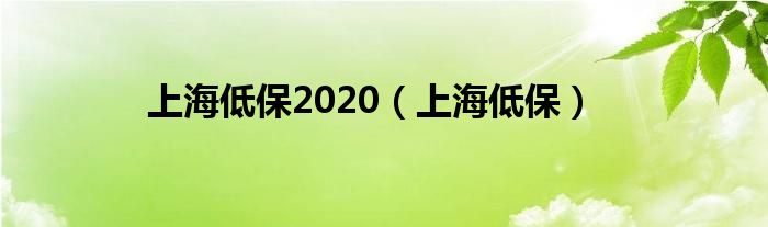 上海低保2020（上海低保）