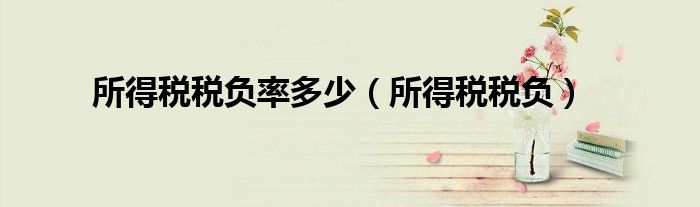 所得税税负率多少（所得税税负）