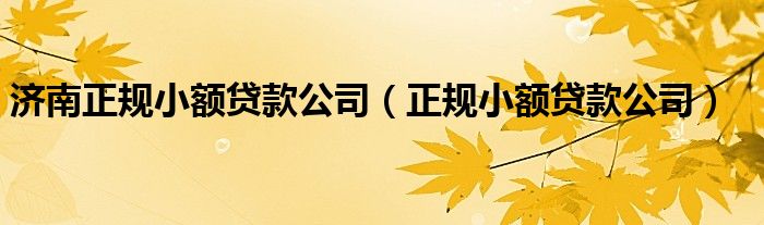 济南正规小额贷款公司（正规小额贷款公司）
