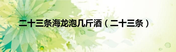 二十三条海龙泡几斤酒（二十三条）