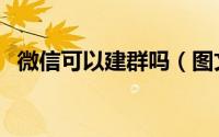 微信可以建群吗（图文教你微信如何建群）