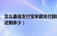 怎么查询支付宝余额支付额度（支付宝余额支付额度怎么查还剩多少）