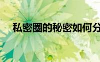 私密圈的秘密如何分享（私密圈是什么）