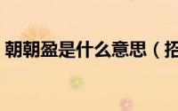 朝朝盈是什么意思（招行朝朝盈收益怎么样）