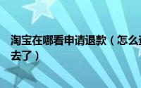 淘宝在哪看申请退款（怎么查看淘宝申请的退款到底退哪里去了）