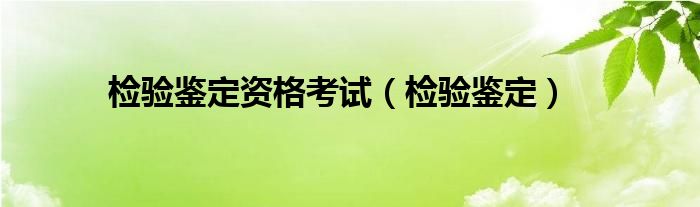  检验鉴定资格考试（检验鉴定）