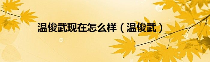 温俊武现在怎么样（温俊武）