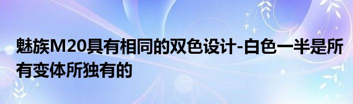 魅族M20具有相同的双色设计